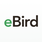 Ebird Icon
